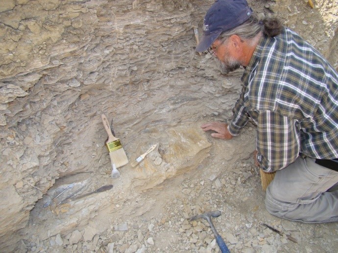 Rare fish fossil found in Colorado